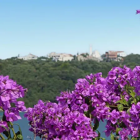 Kastanjez Ix Croatia