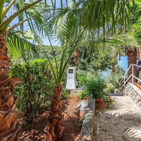 Kastanjez Ix Croatia Pula