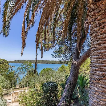 Amazing In With House Sea View