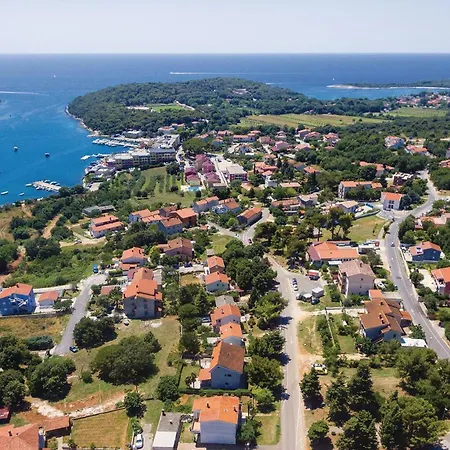 Kastanjez Ix Croatia *