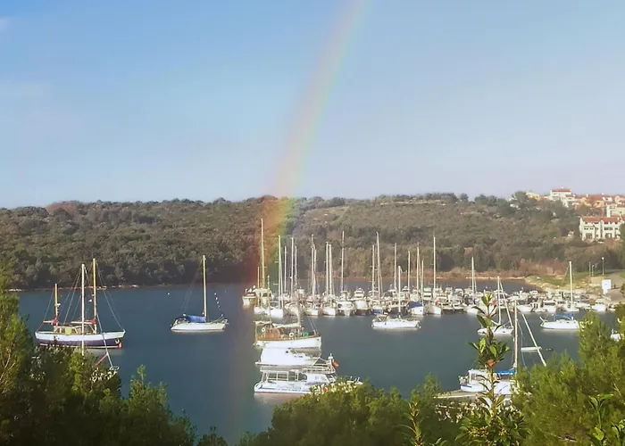 Kastanjez Ix Croatia * Pula