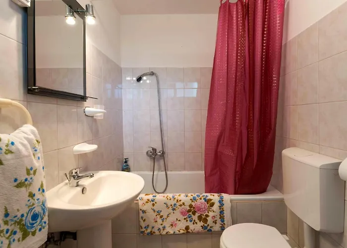 Kastanjez Ix Croatia