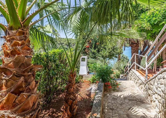 Kastanjez Ix Croatia Pula