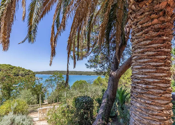 Kastanjez Ix Croatia