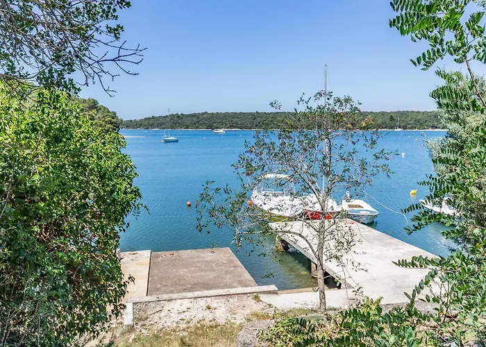 Kastanjez Ix Croatia