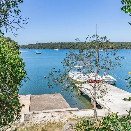 Kastanjez Ix Croatia